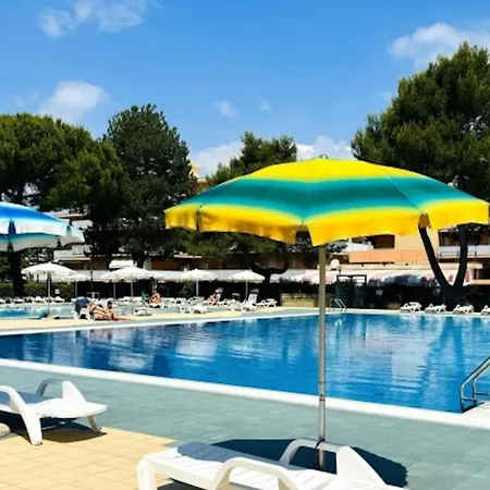Charming With Shared Pools *